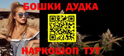 шишки Изобильный