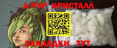 шишки Изобильный