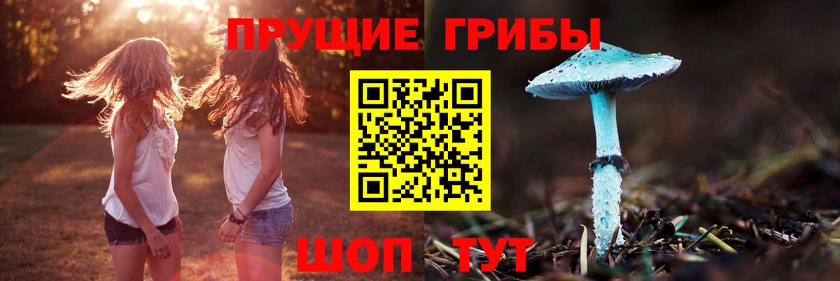 Луховицы  Галлюциногенные грибы Magic Shrooms  Вход с VPN  Псилоцибиновые грибы Psilocybe 